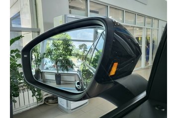 Tavendor R-line Черный Deep перламутр 2024