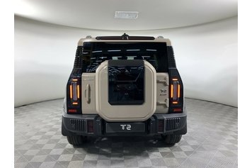 T2 Expedition Коричневый 2024