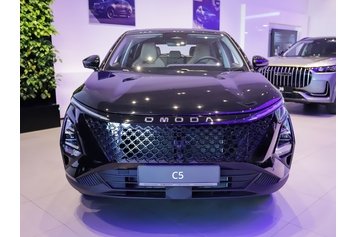 C5 Supreme Серый 2024