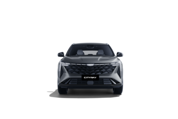 Cityray Flagship Sport Серый 2024