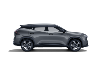 Cityray Flagship Sport Серый 2024