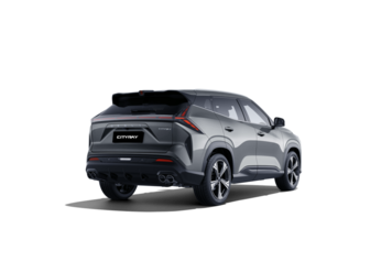 Cityray Flagship Sport Серый 2024