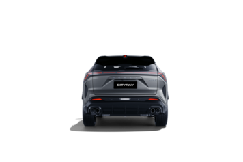 Cityray Flagship Sport Серый 2024